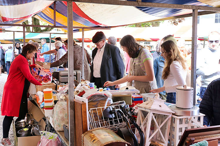 Rommelmarkt 2022 Waarder_115